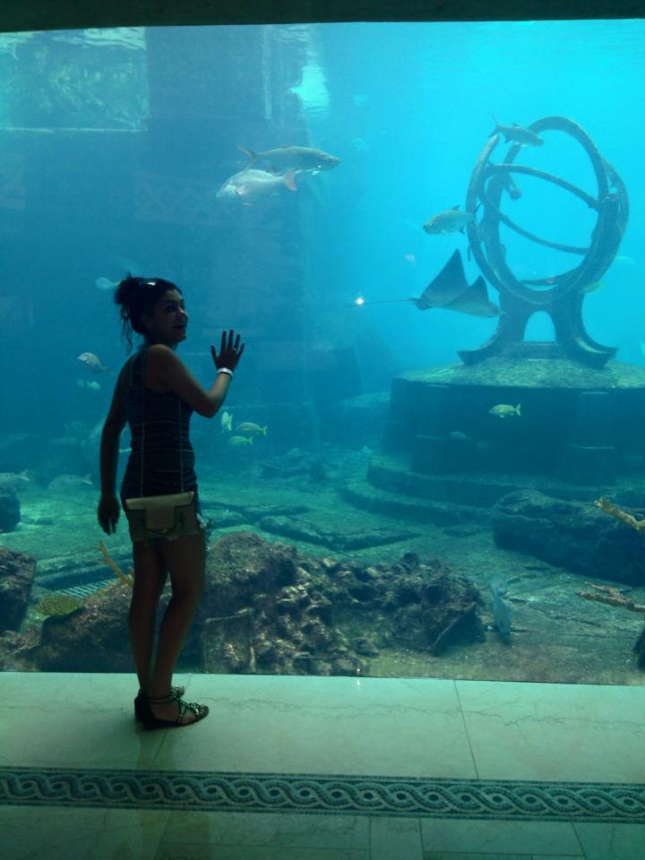 11001782_10153119894197556_5198622165936589850_n