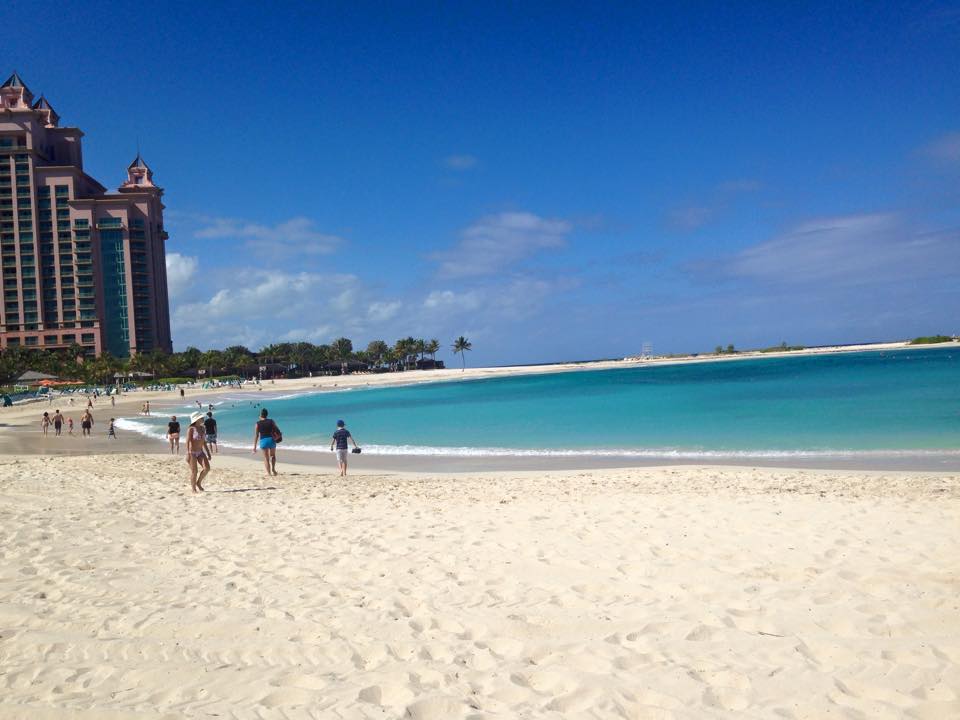 11006366_10153119917917556_2643858880711495950_n